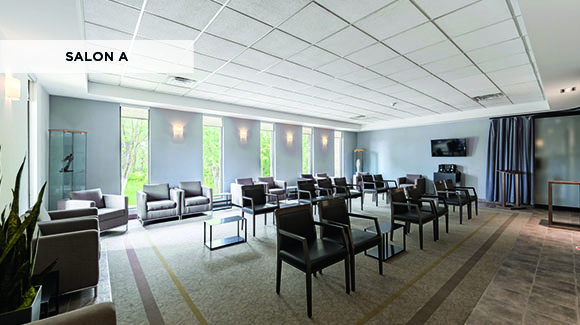 85_md~v~salon-a